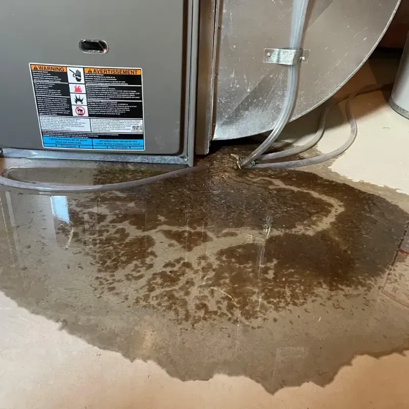 Appliance Leak Cleanup in Collegeville, PA